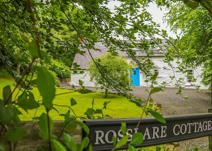 Top Hotels Near Wool Tower Broughshane