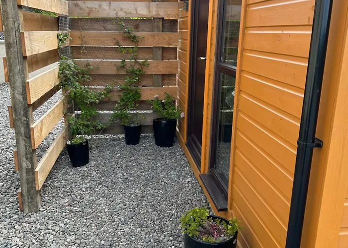 Top Dog Friendly Accommodations in Plockton