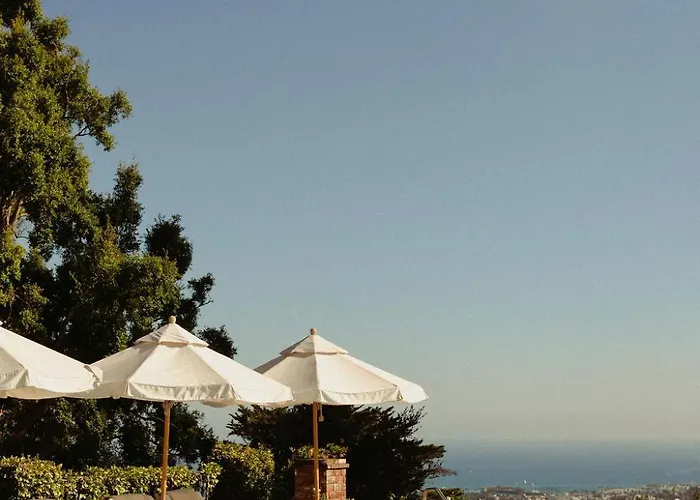 Top Dog-Friendly Accommodations in Santa Barbara