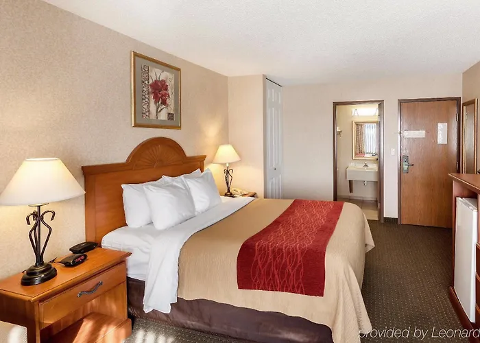 Discover the Best Hotels Close to Lexington Medical Center for Your Stay
