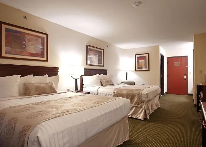 Top Hotels Near Jacksonville FL Port With Shuttle