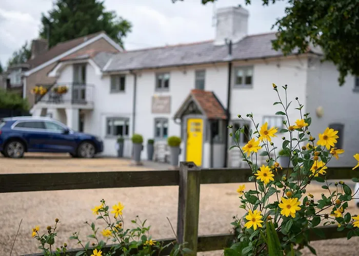 Hotels in Brockenhurst Village: The Perfect Accommodations for Your Stay
